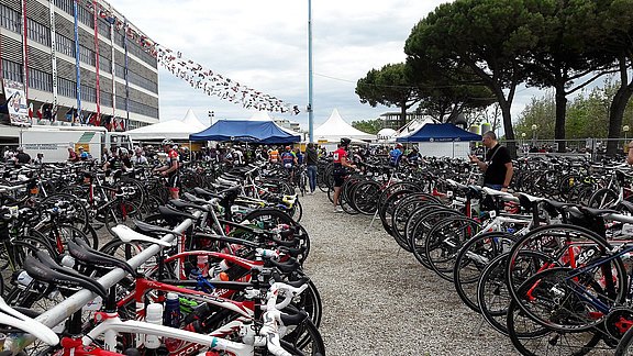 Novecolli_2017_00012.jpg  