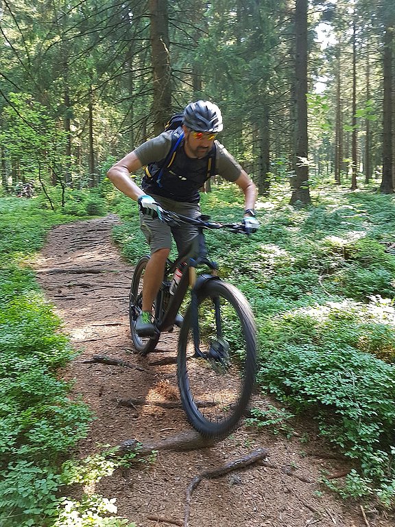 Andy_Trail.jpg  