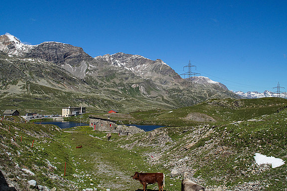 Alpentour_2016_-_Tag_3-13.jpg  