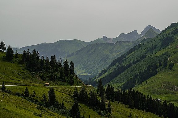 Alpentour_Tag_2__21_.jpg  