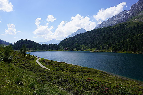 Alpentour_2022__188_.JPG  