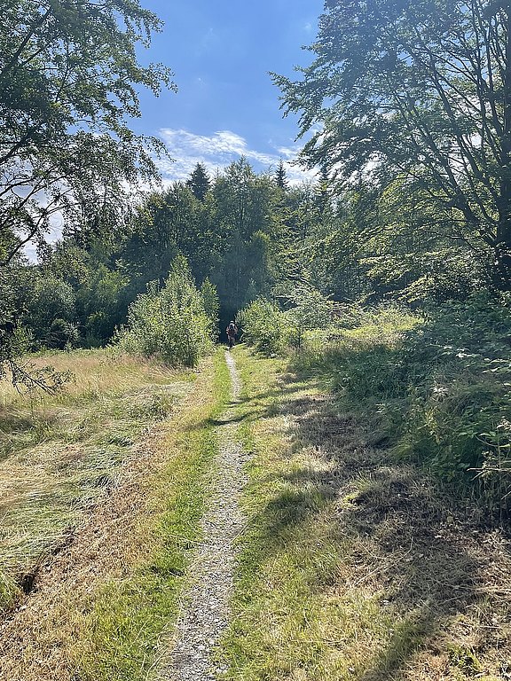 Flacher_Trail.JPG  