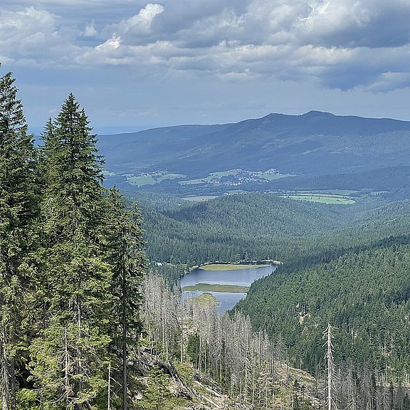 9_Arbersee.JPG  