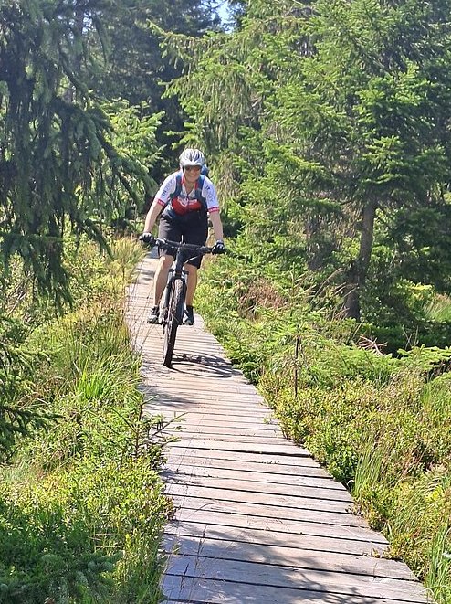 W_Fahrt_auf_Holz.JPG  