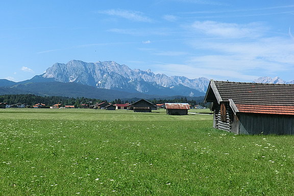 Tag_-1-__25_.JPG  