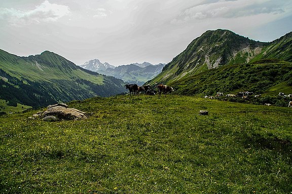 Alpentour_Tag_2__20_.jpg  
