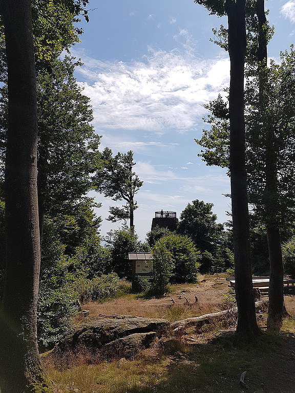 Hirschenstein_Turm_aus_Entfernung.jpg  